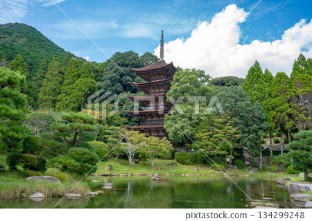 從琉璃光寺(山口市)眺望五重塔 從琉璃光寺(山口市)眺望五重塔 134299248