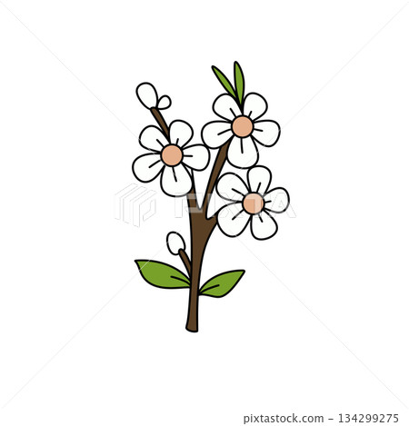 A white flower with green leaves is drawn in a cartoon style 134299275