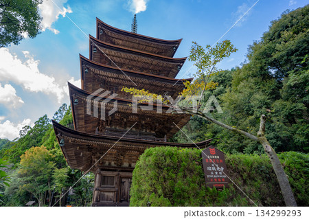 琉璃光寺五重塔的景色 琉璃光寺五重塔的景色 134299293