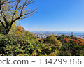 View from Miharashi Observatory (Kobe) 134299366