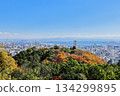 View from Miharashi Observatory (Kobe) 134299895