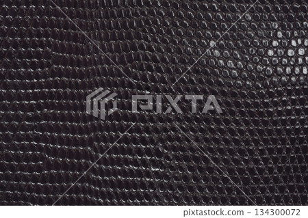 Dark Lizard Skin Pattern Dark Lizard Skin Pattern 134300072