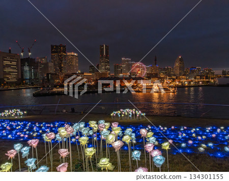 Night view of Minato Mirai seen from Oosan Bridge 134301155