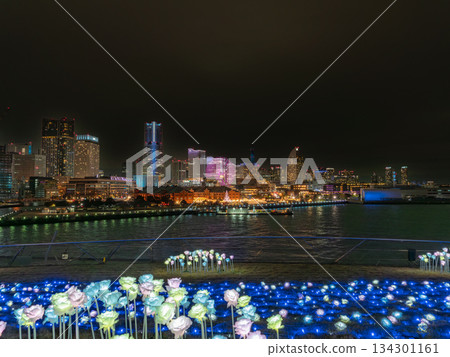 Night view of Minato Mirai seen from Oosan Bridge Night view of Minato Mirai seen from Oosan Bridge 134301161