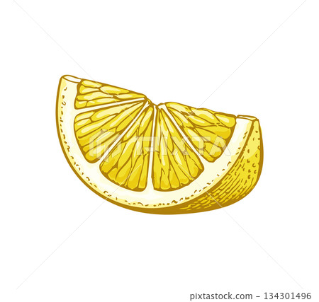 Hand drawn lemon wedge illustration Hand drawn lemon wedge illustration 134301496