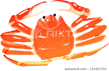 High-quality snow crab 134301705