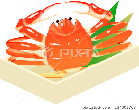 High-quality snow crab in a paulownia wood box High-quality snow crab in a paulownia wood box 134301708