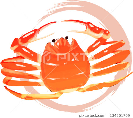 High-quality snow crab 134301709