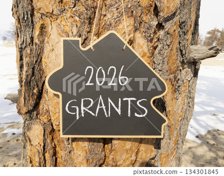2026 Grants symbol. Concept words 2026 Grants on beautiful black blackboard. Beautiful old tree and sand background. Business and 2026 grants concept. Copy space. 134301845