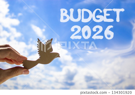 Budget 2026 symbol. Concept words Budget 2026 on beautiful blue sky. Beautiful blue sky background. Businessman's hand holds wooden bird. Business and budget 2026 concept. Copy space. Budget 2026 symbol. Concept words Budget 2026 on beautiful blue sky. Beautiful blue sky background. Businessman's hand holds wooden bird. Business and budget 2026 concept. Copy space. 134301920