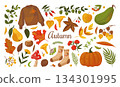 Autumn stickers. Fall harvest season graphic pumpkin, cozy handdrawn knitted sweater and socks, cute branch decor with leaf, mushroom and berry. Vector cartoon isolated illustration set 134301995