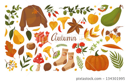 Autumn stickers. Fall harvest season graphic pumpkin, cozy handdrawn knitted sweater and socks, cute branch decor with leaf, mushroom and berry. Vector cartoon isolated illustration set 134301995