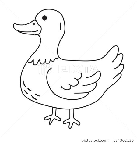 Cute cartoon duck line art outline drawing for coloring book 134302136
