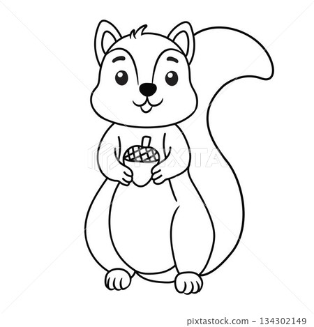 Cute cartoon squirrel line art outline drawing for coloring book Cute cartoon squirrel line art outline drawing for coloring book 134302149