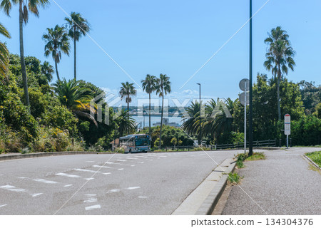 A bus traveling along a road lined with palm trees and a view of the ocean A bus traveling along a road lined with palm trees and a view of the ocean 134304376
