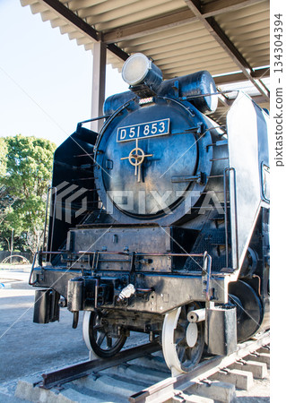 東京王子市飛鳥山公園內，黑色歷史悠久的蒸氣機車D51號停放在那裡。 134304394