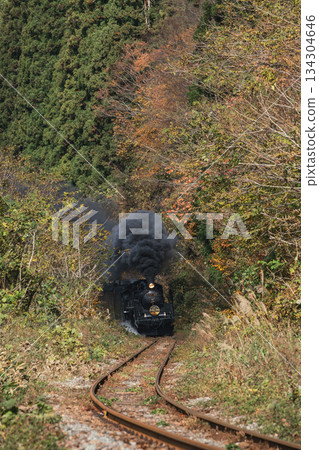 SL Banetsu Monogatari train C57180 on the Ban'etsu West Line runs through the late autumn forest SL Banetsu Monogatari train C57180 on the Ban'etsu West Line runs through the late autumn forest 134304646
