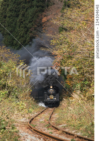 SL 坂越物語號列車 C57180 次在坂越西線上穿越深秋的森林。 134304648
