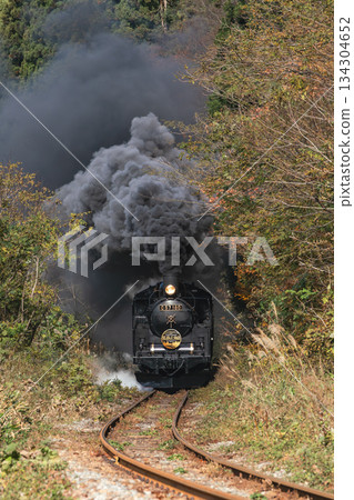 SL 坂越物語號列車 C57180 次在坂越西線上穿越深秋的森林。 134304652