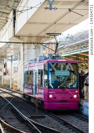 東京櫻花電車在東京王子市飛鳥山公園附近的晴朗天空下行駛 東京櫻花電車在東京王子市飛鳥山公園附近的晴朗天空下行駛 134304711