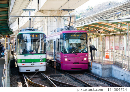 東京櫻花電車在東京王子市飛鳥山公園附近的晴朗天空下行駛 134304714