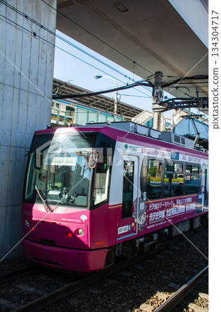 Tokyo Sakura Tram train moving under a bright, clear sky near Asukayama Park in Oji, Tokyo 134304717