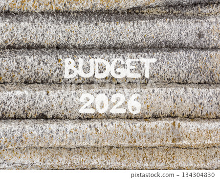 Budget 2026 symbol. Concept words Budget 2026 on beautiful grey mountain wall. Beautiful grey mountain wall background. Business and budget 2026 concept. Copy space. 134304830