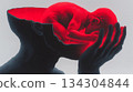 Stark, symbolic side-profile portrait of a dark, textured human hand holding a head silhouette containing a curled-up, glowing red fetal figure. 134304844