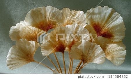 Minimalist still-life of dried, delicate, fan-shaped ginkgo leaves with warm golden-yellow to red-orange gradients, arranged elegantly on pale, soft background. Minimalist still-life of dried, delicate, fan-shaped ginkgo leaves with warm golden-yellow to red-orange gradients, arranged elegantly on pale, soft background. 134304862