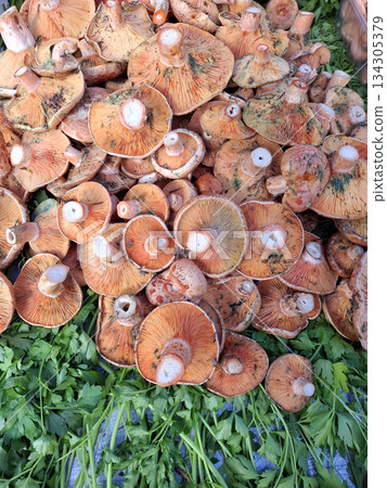 Mushrooms are layered together on a table at a farmers market. People are exploring fresh produce and local goods in Spain. This scene shows the vibrant offerings of the market. Mushrooms are layered together on a table at a farmers market. People are exploring fresh produce and local goods in Spain. This scene shows the vibrant offerings of the market. 134305379