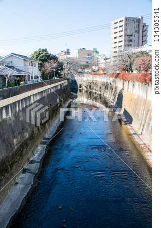 東京王子市晴朗的天空下,一條水道蜿蜒於公寓大樓和民宅之間。 東京王子市晴朗的天空下,一條水道蜿蜒於公寓大樓和民宅之間。 134305541