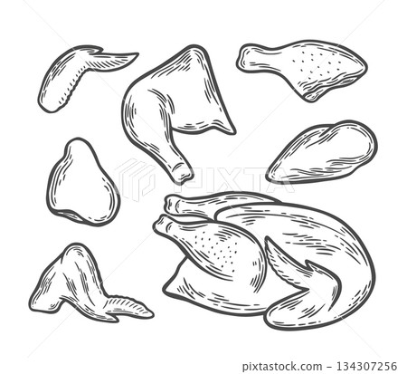 Parts of chicken meat Parts of chicken meat 134307256