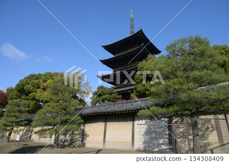 京都府南區九條町東寺五層塔 134308409