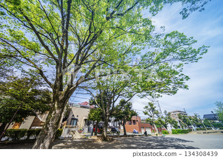 Konemoto Park Konemoto Park 134308439