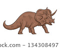 Triceratops dinosaur cartoon illustration isolated on white 134308497