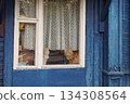 Two cats looking through window in blue wooden house 134308564