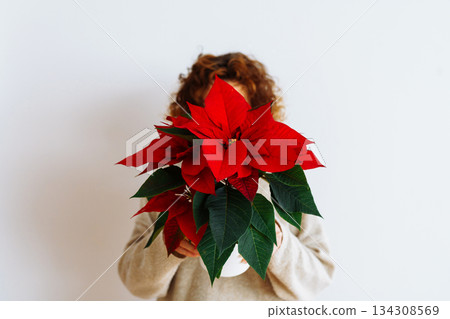 young woman with a flowerpot Christmas star young woman with a flowerpot Christmas star 134308569