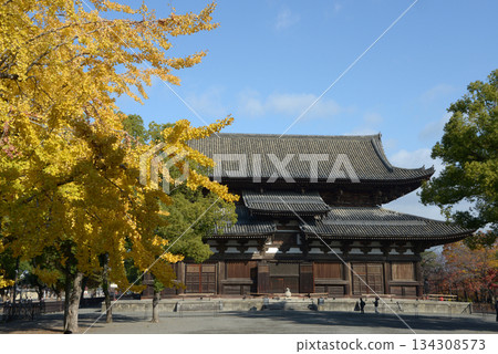 京都南區九條町東寺近堂堂的秋天 134308573