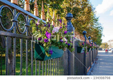 Colorful flowers in window boxes hanging from a fence in city park 134308708