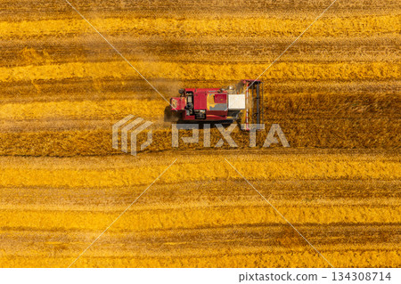 Combine harvester working in serene agricultural field during day 134308714