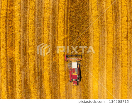Combine harvester working in serene rural agricultural field 134308715
