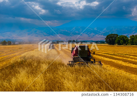 Combine harvesters working in serene rural field with mountains Combine harvesters working in serene rural field with mountains 134308716