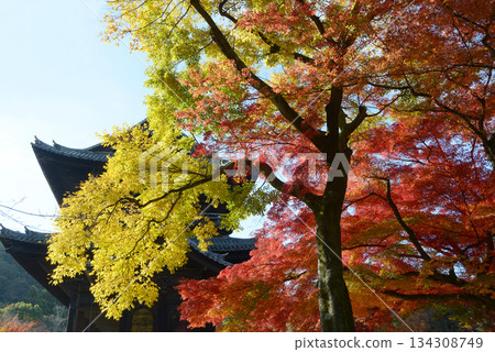 Nanzenji Temple, Sanmon Gate and Autumn Leaves, Fukuchicho, Sakyo Ward, Kyoto City Nanzenji Temple, Sanmon Gate and Autumn Leaves, Fukuchicho, Sakyo Ward, Kyoto City 134308749