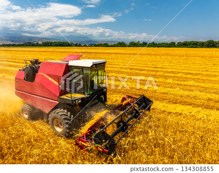 Red and black combine harvester harvesting wheat in sunny field Red and black combine harvester harvesting wheat in sunny field 134308855