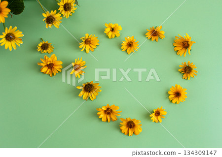 Vibrant yellow petals arranged beautifully on green backdrop 134309147