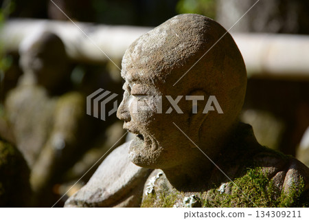 關山禪院 16 羅漢石像,京都市左京區 關山禪院 16 羅漢石像,京都市左京區 134309211