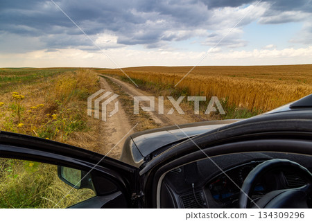 Car with open door on dirt road through fields of grain Car with open door on dirt road through fields of grain 134309296