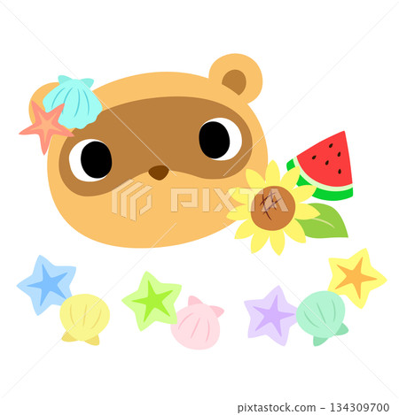 可愛的浣熊斑紋 夏日貝殼 可愛的浣熊斑紋 夏日貝殼 134309700