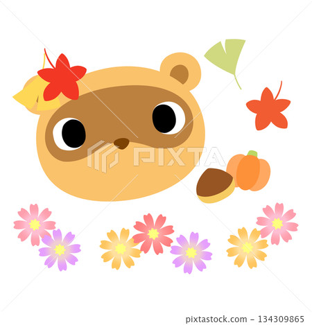 Cute raccoon mark Autumn leaves Cute raccoon mark Autumn leaves 134309865