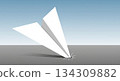 Paper plane crashing to the ground and breaking, business failure and setback concept 134309882